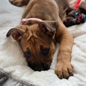 Meet your Posher, Kimberly